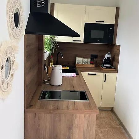 Charming Near Prague Airport Apartment